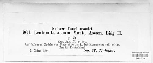 Klasterskya acuum image